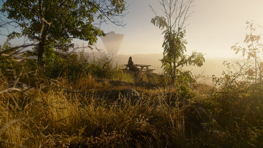 Morning Magic