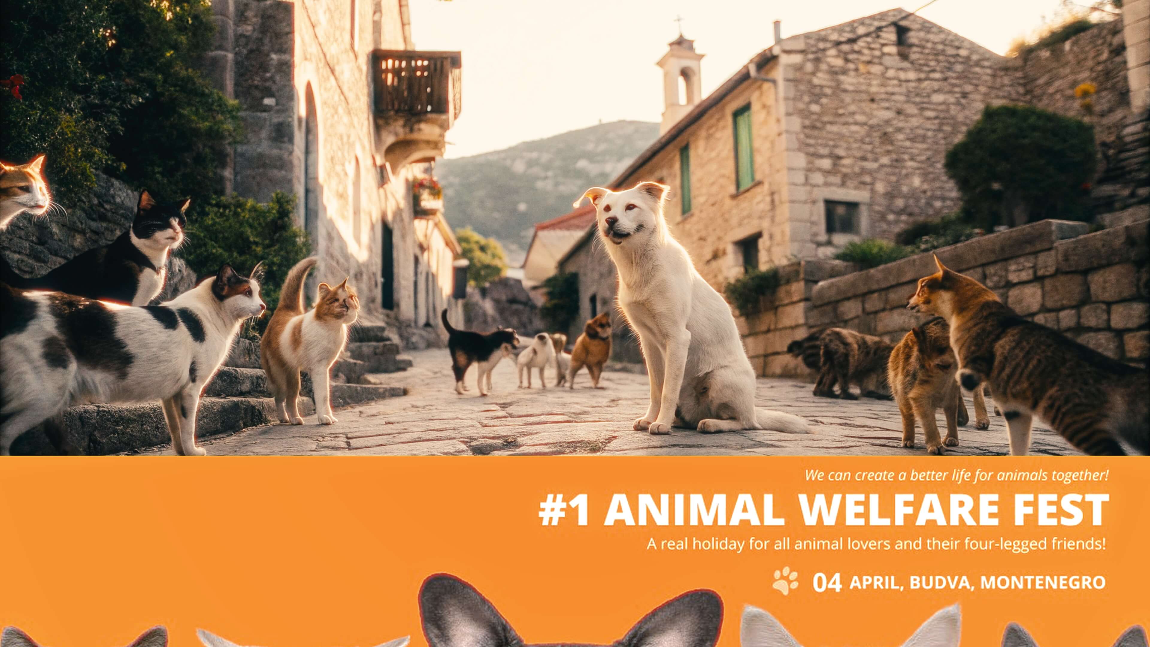 Load video: Animal Welfare Fest