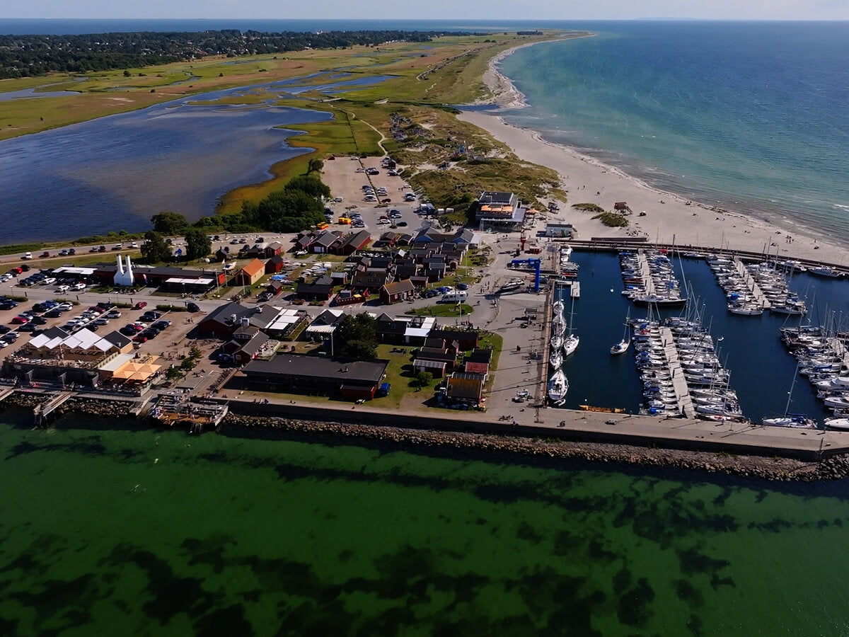 Skanör hamn och strand